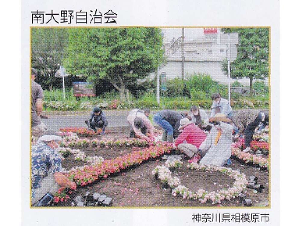 相模台 おださがの花 駅前花壇 入選 相模原市自治会連合会 相模台 おださがの花 駅前花壇 入選 相模原市自治会連合会